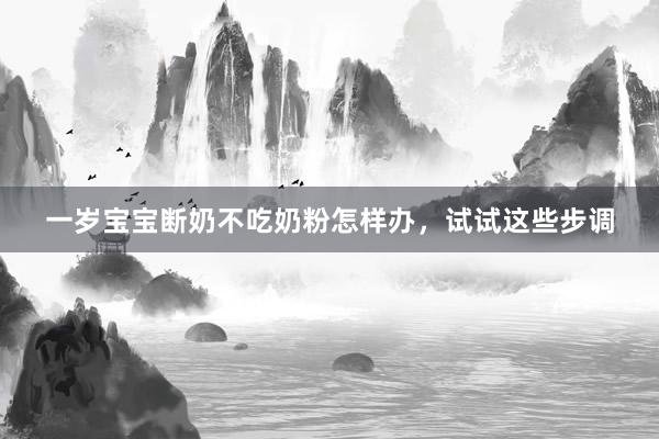 一岁宝宝断奶不吃奶粉怎样办，试试这些步调